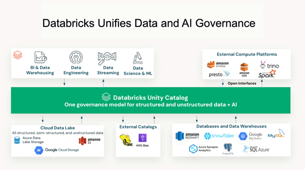 Databricks Unity Catalog governance value levers