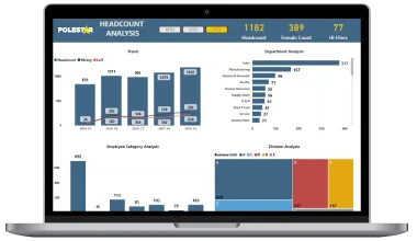 Embedded Analytics Services