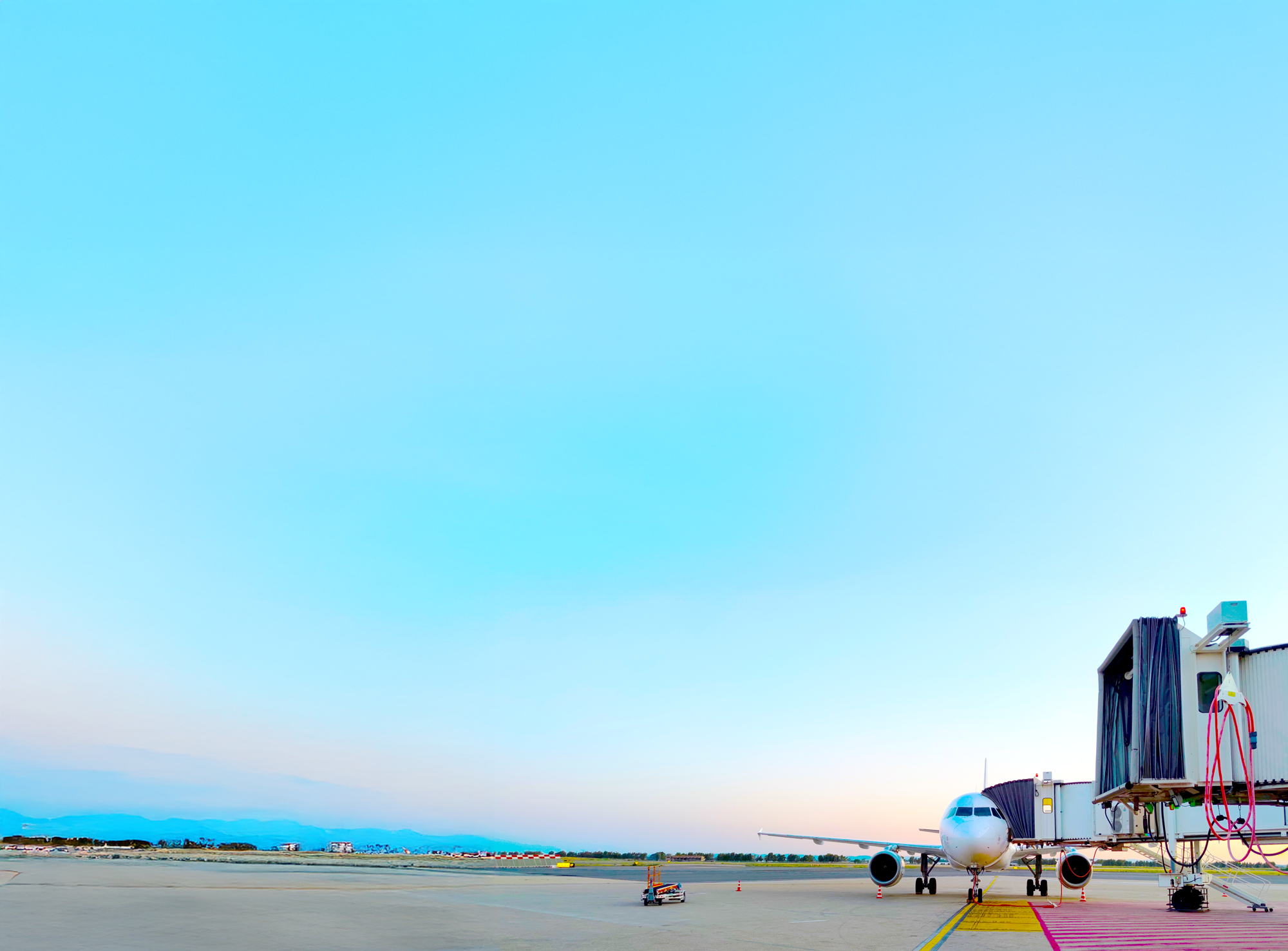 Airport Concessionaire