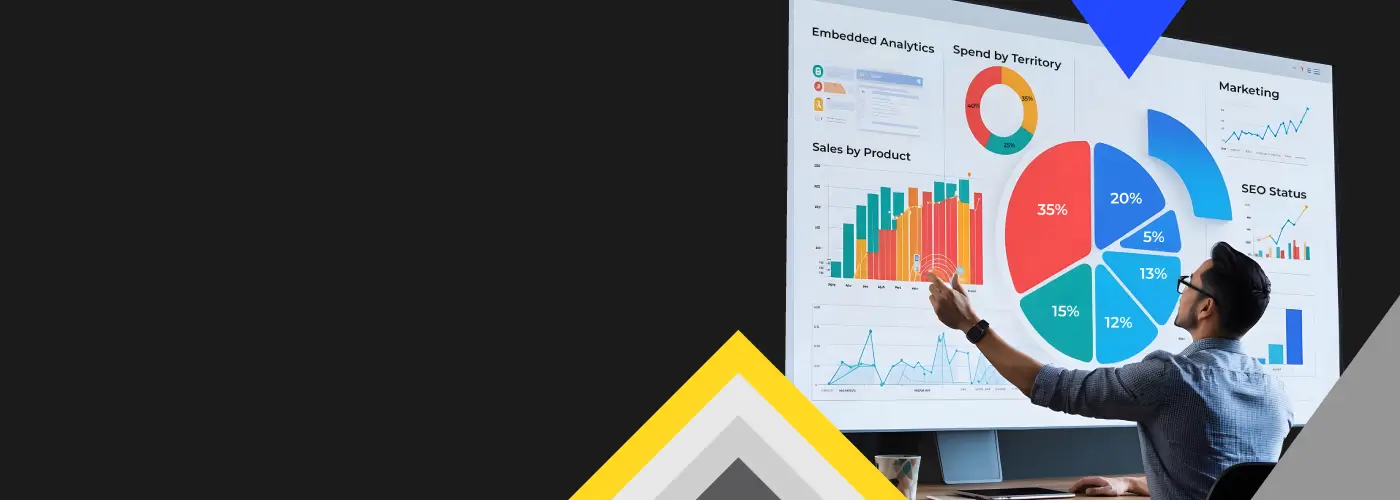 Embedded Analytics