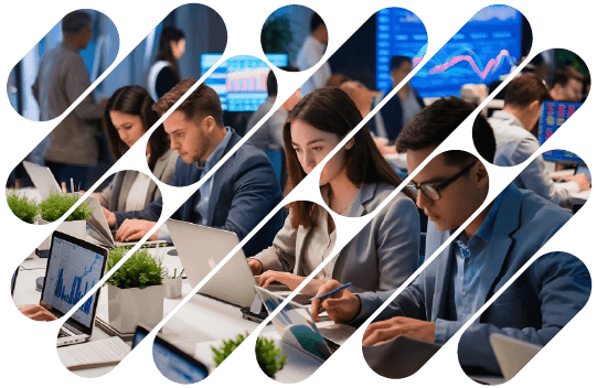 Maintenance & Support