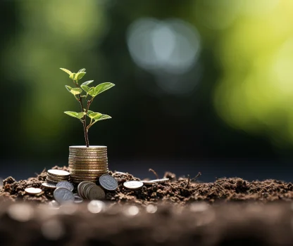 Pricing Optimization & Strategies